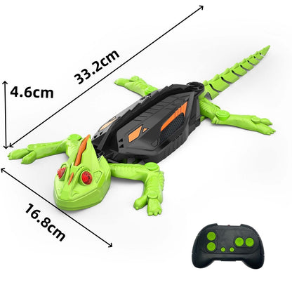 Wall Crawler Gecko